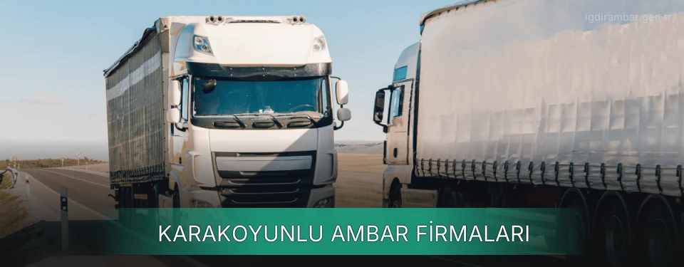 Karakoyunlu Ambar Taşımacılık