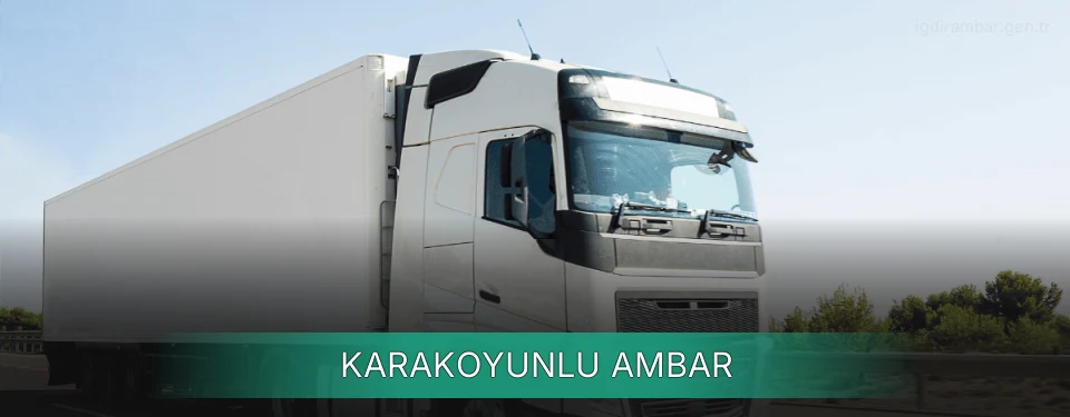 Karakoyunlu Ambar