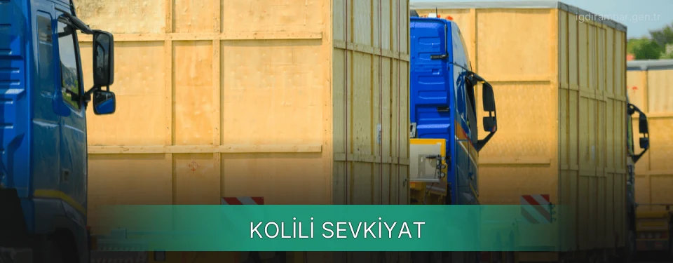Iğdır Kolili Sevkiyat Ambar Firmaları